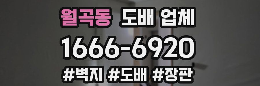 월곡동 도배 업체