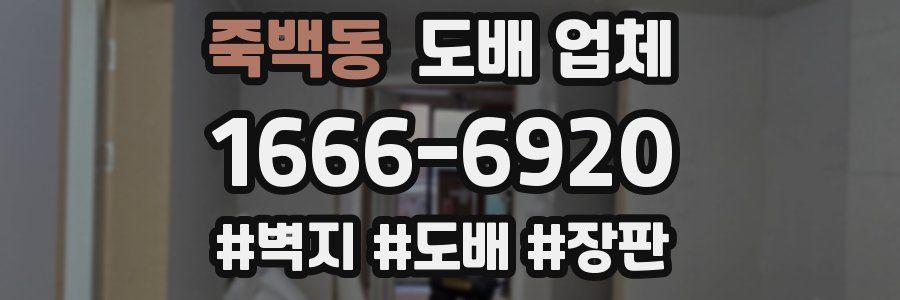 죽백동 도배 업체