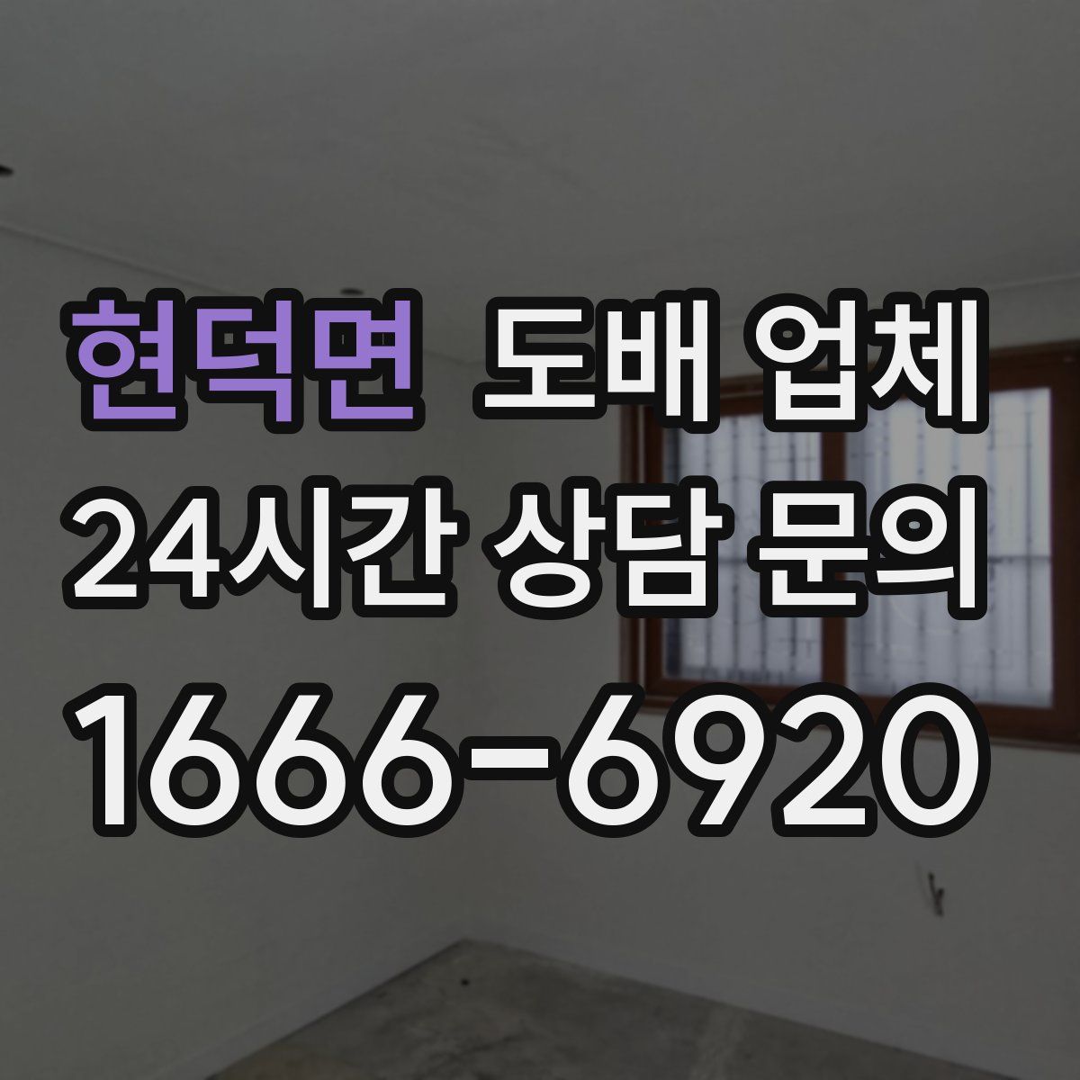 현덕면 도배 업체