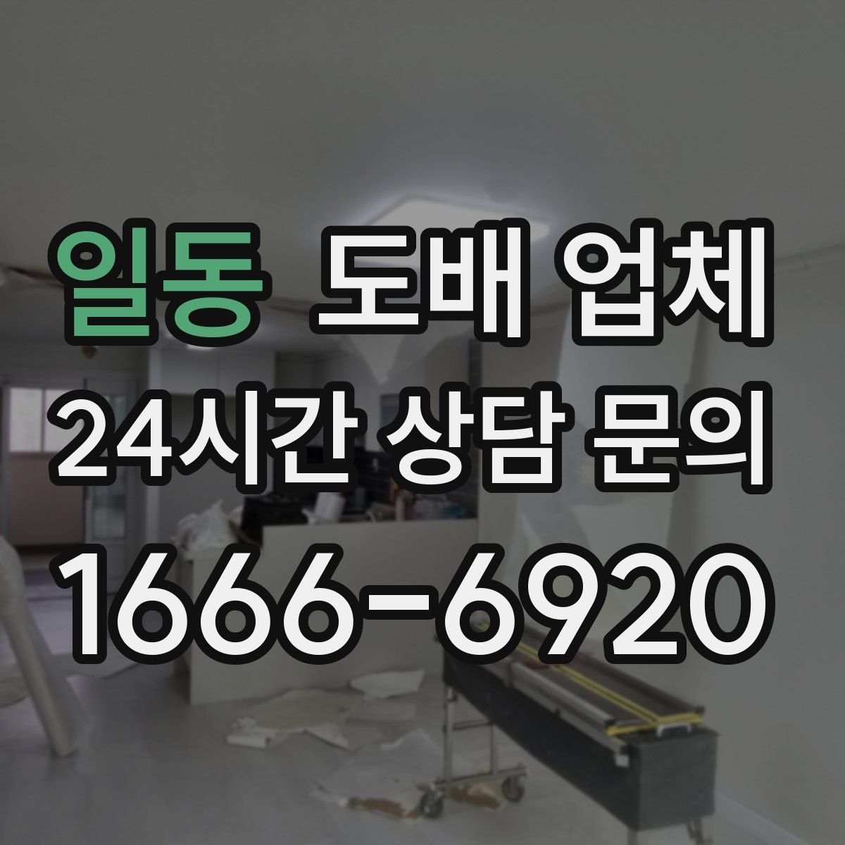 일동 도배 업체