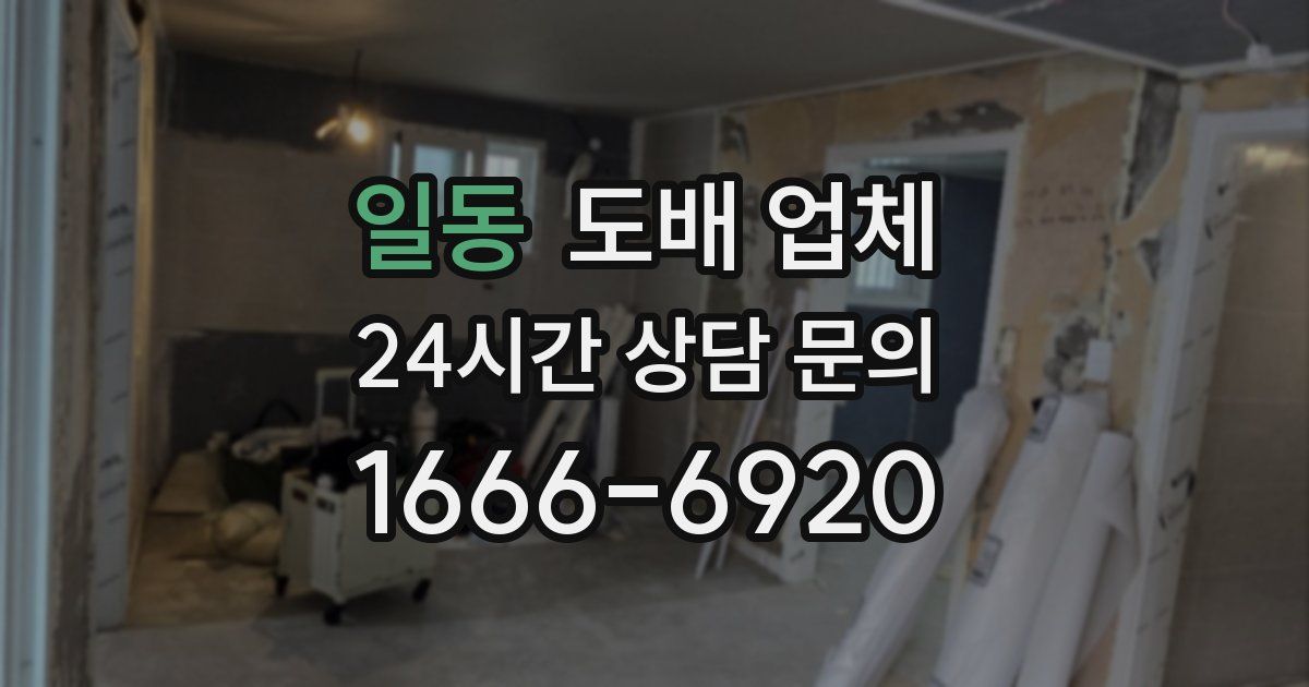 일동 도배 업체