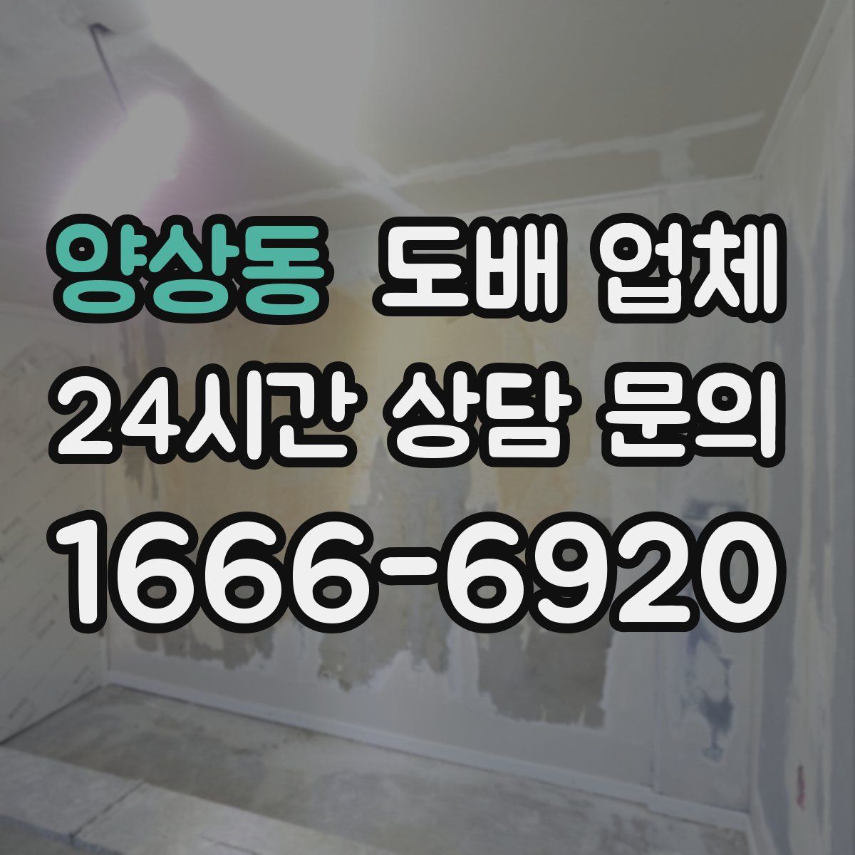 양상동 도배 업체