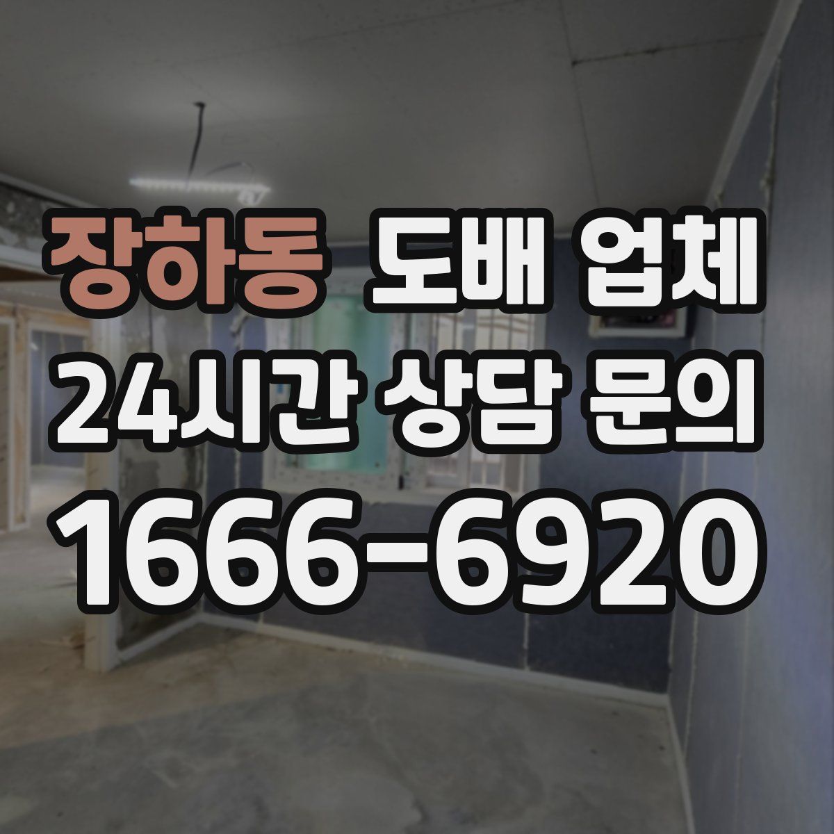 장하동 도배 업체