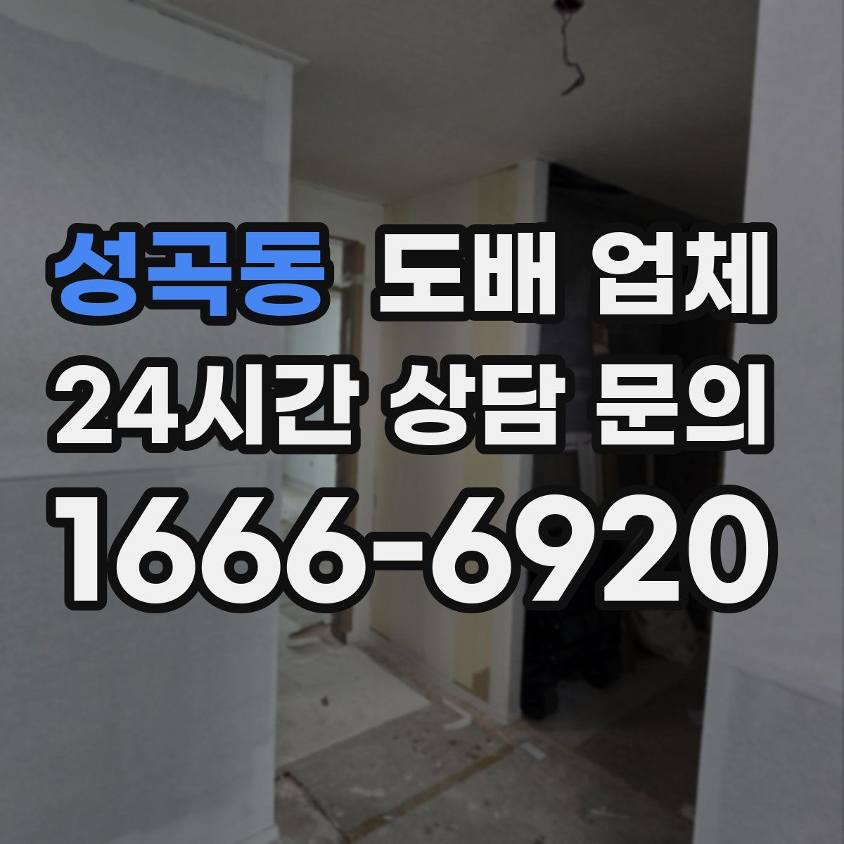 성곡동 도배 업체