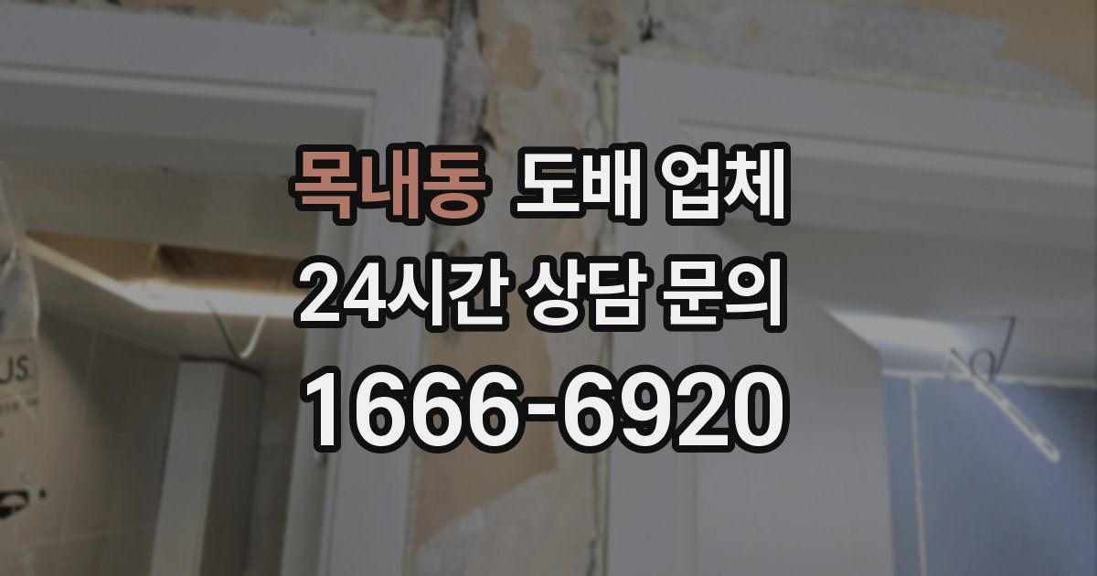 목내동 도배 업체