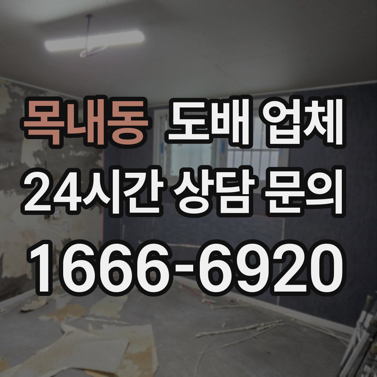 목내동 도배 업체