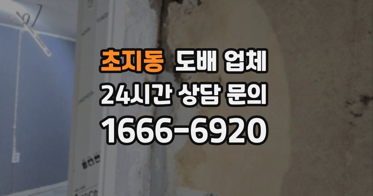 초지동 도배 업체