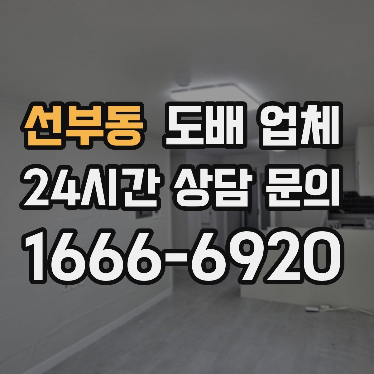 선부동 도배 업체