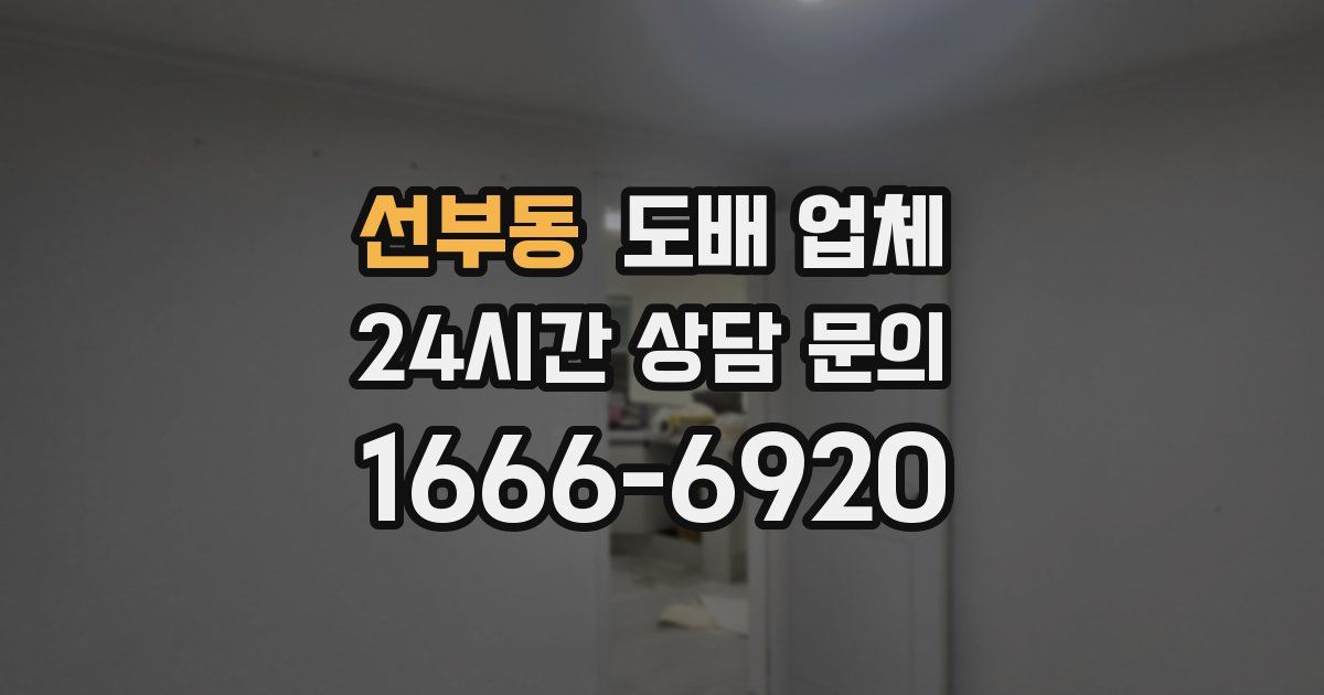 선부동 도배 업체