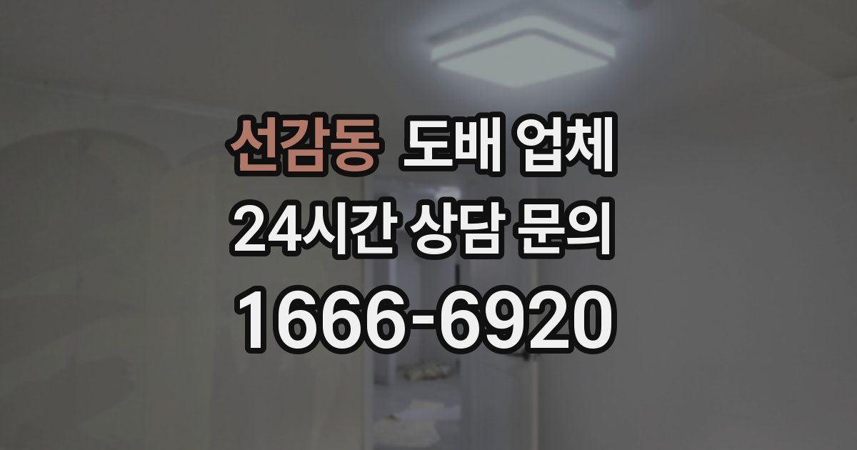 선감동 도배 업체