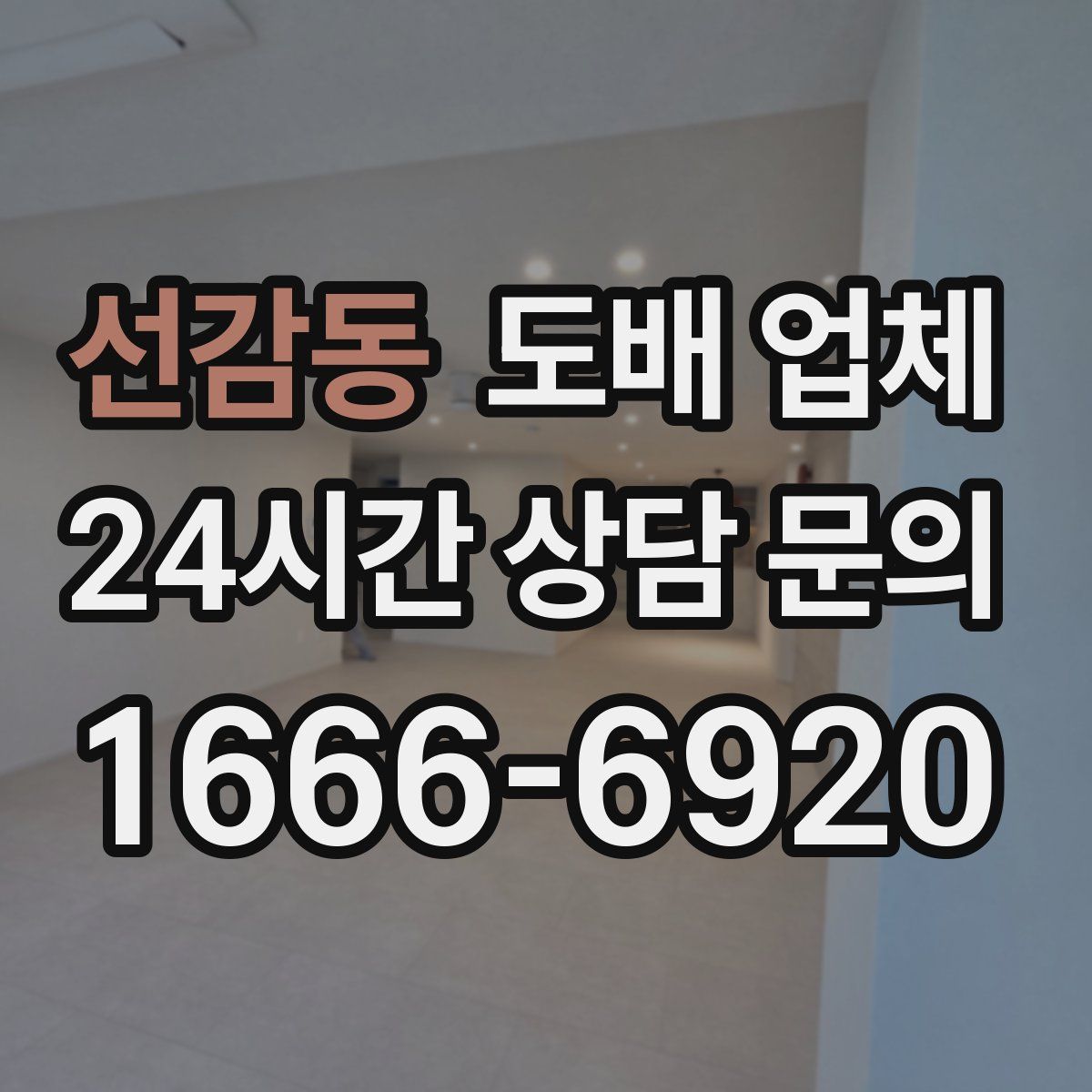 선감동 도배 업체