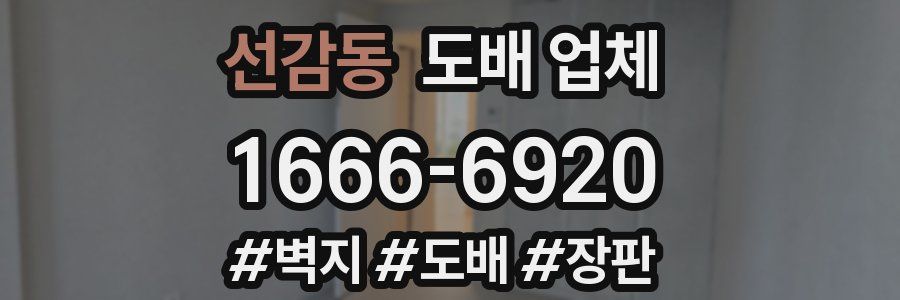 선감동 도배 업체