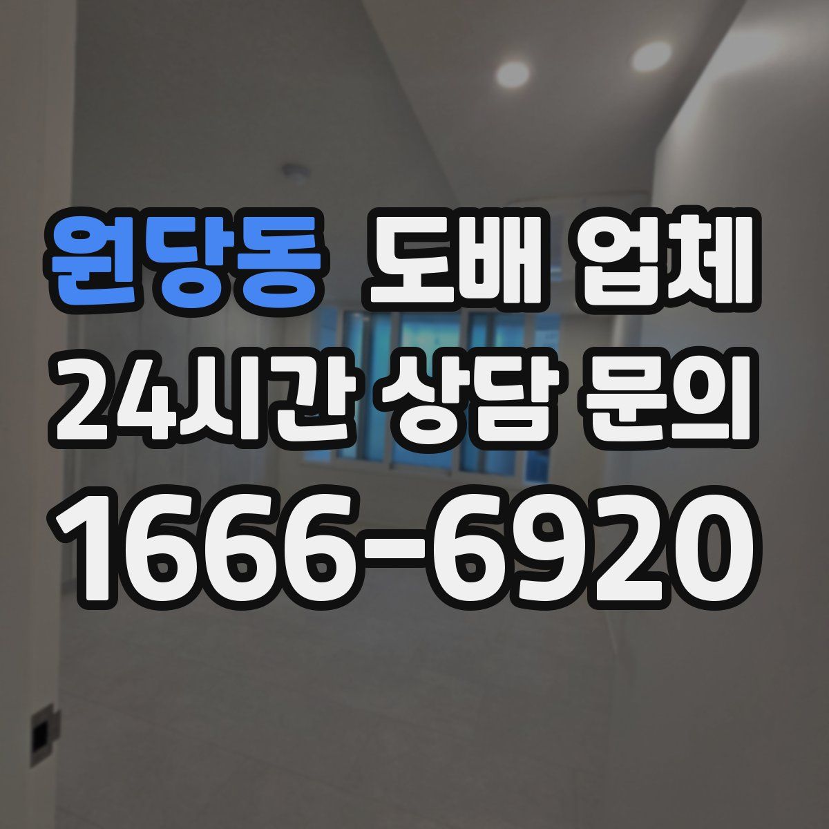 원당동 도배 업체