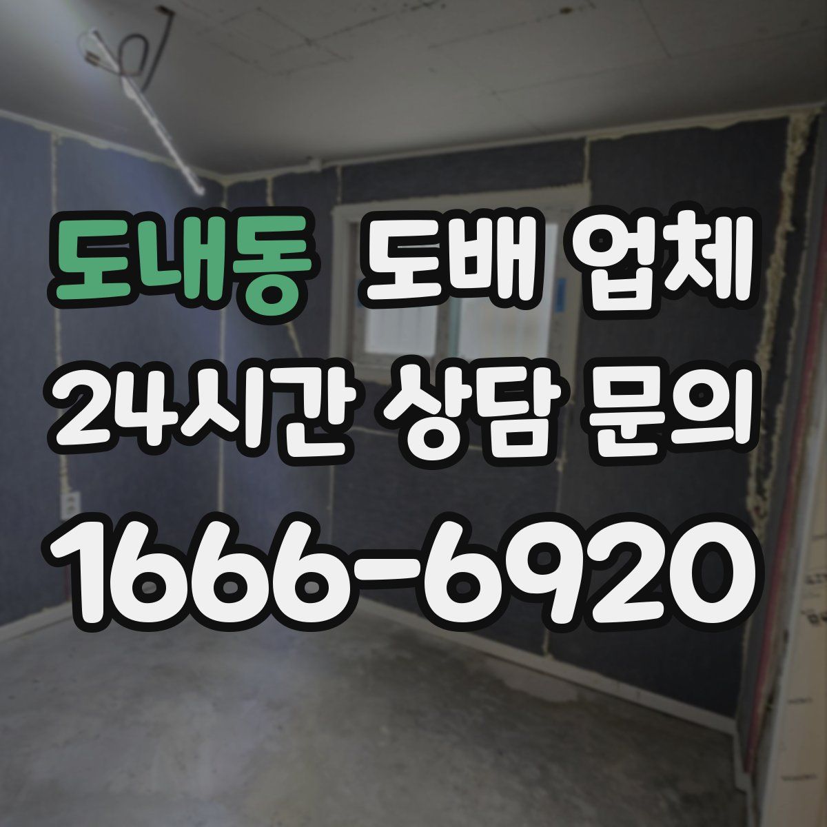도내동 도배 업체