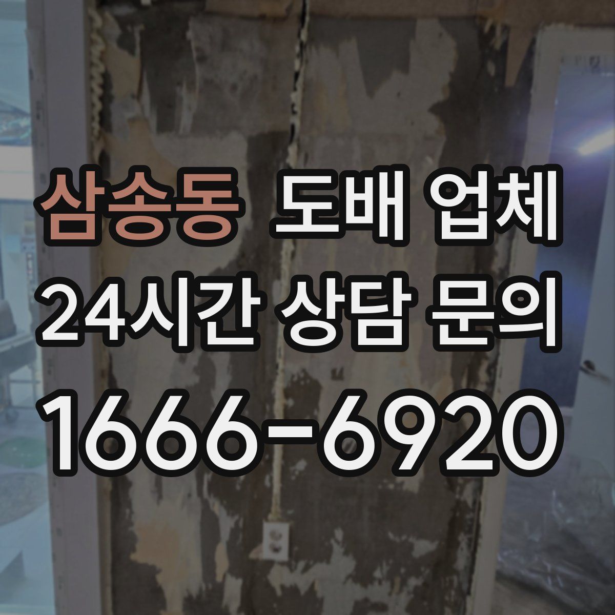 삼송동 도배 업체