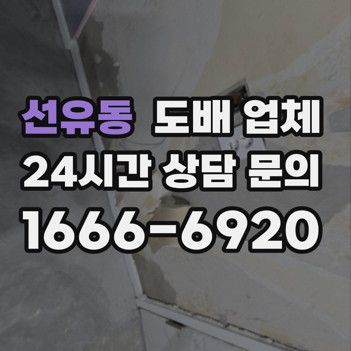 선유동 도배 업체