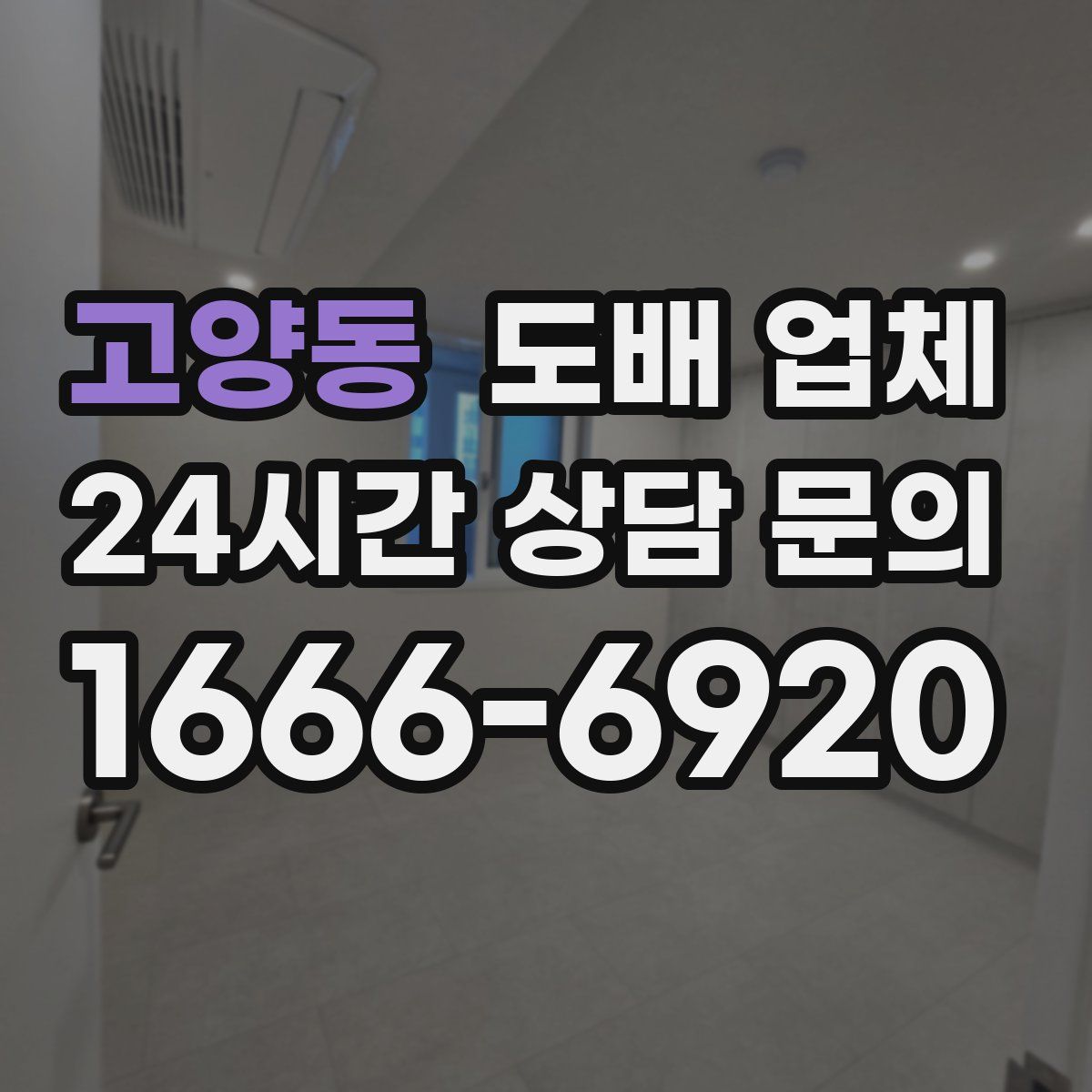고양동 도배 업체