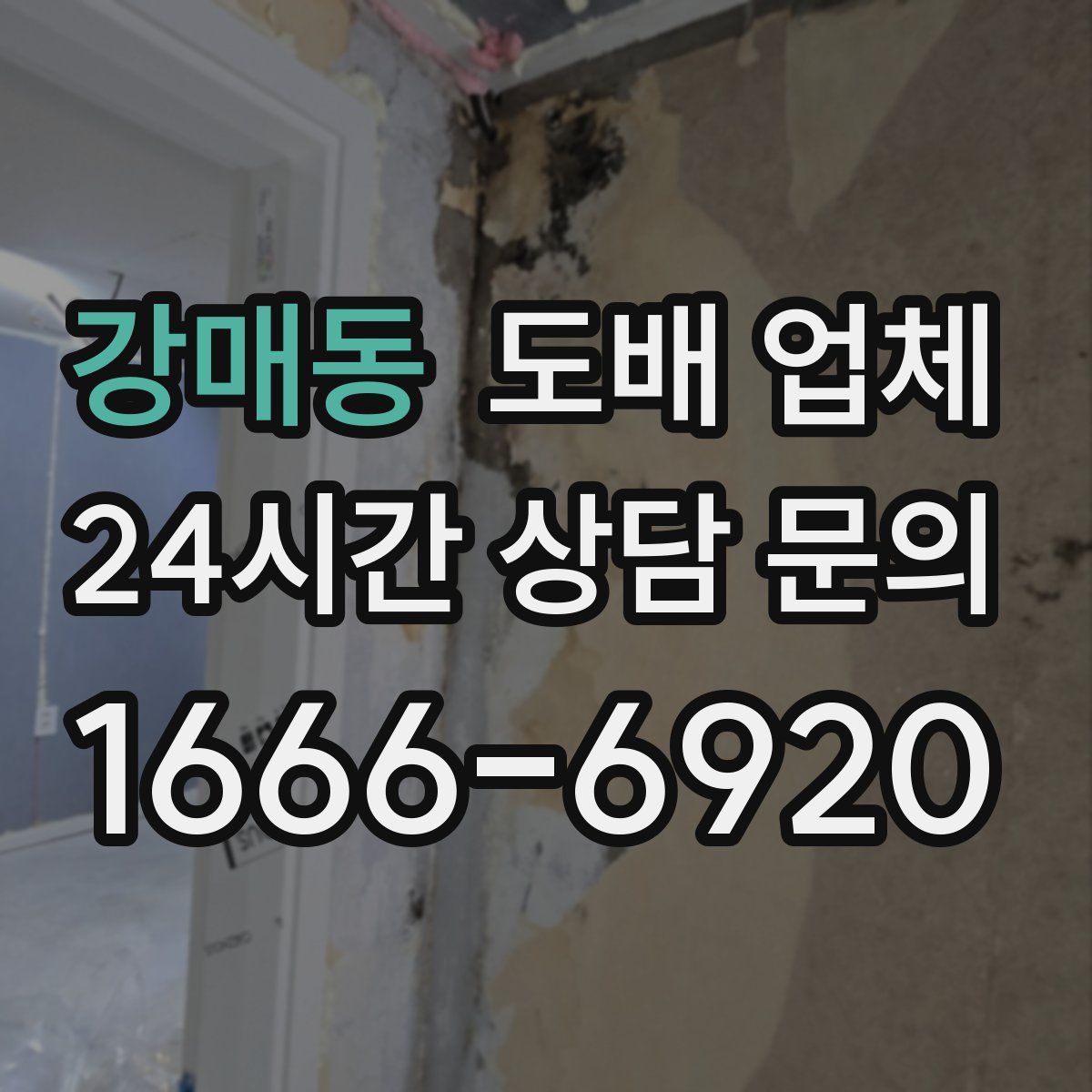 강매동 도배 업체