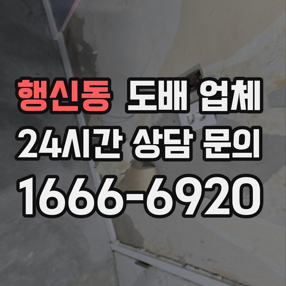 행신동 도배 업체