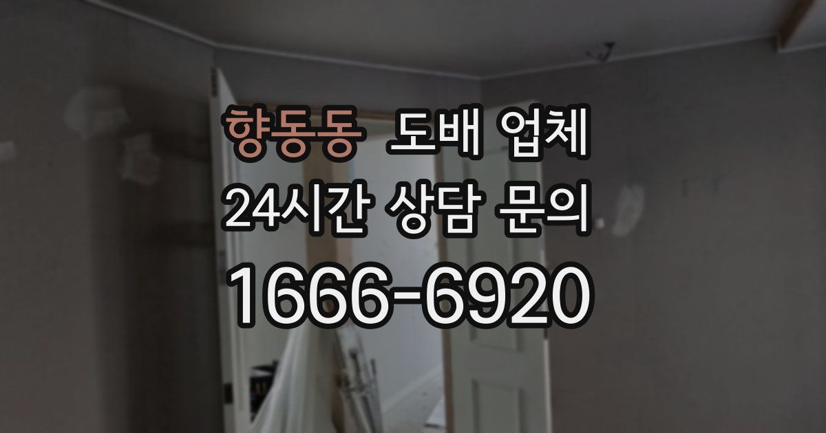 향동동 도배 업체