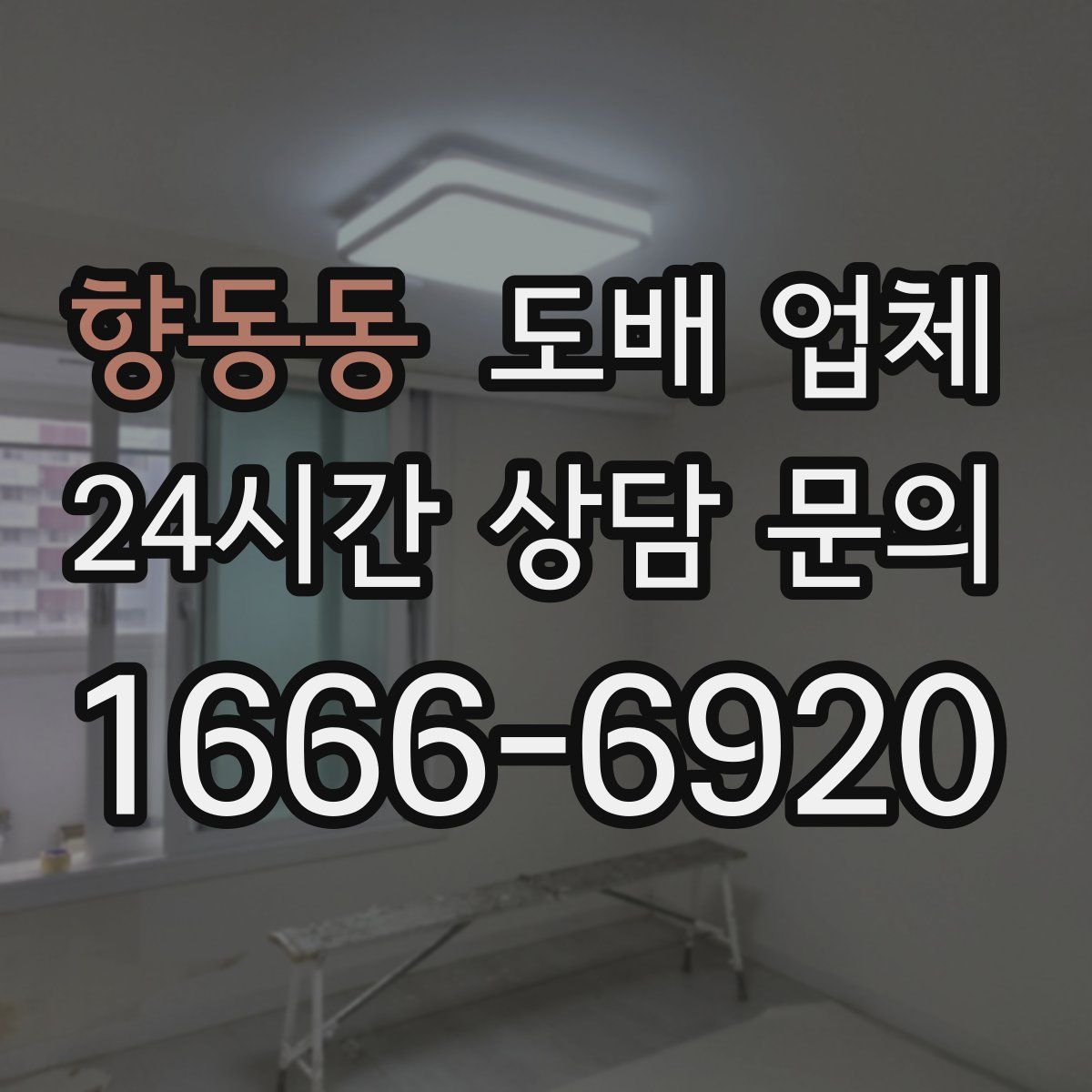 향동동 도배 업체