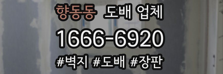 향동동 도배 업체