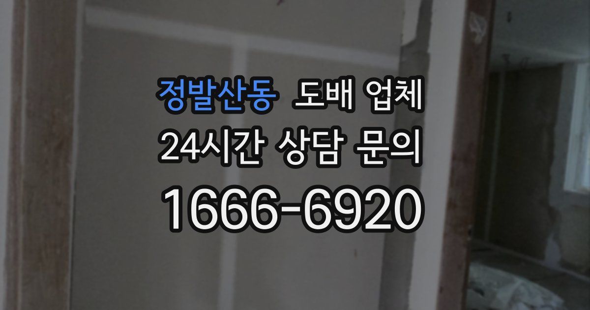 정발산동 도배 업체