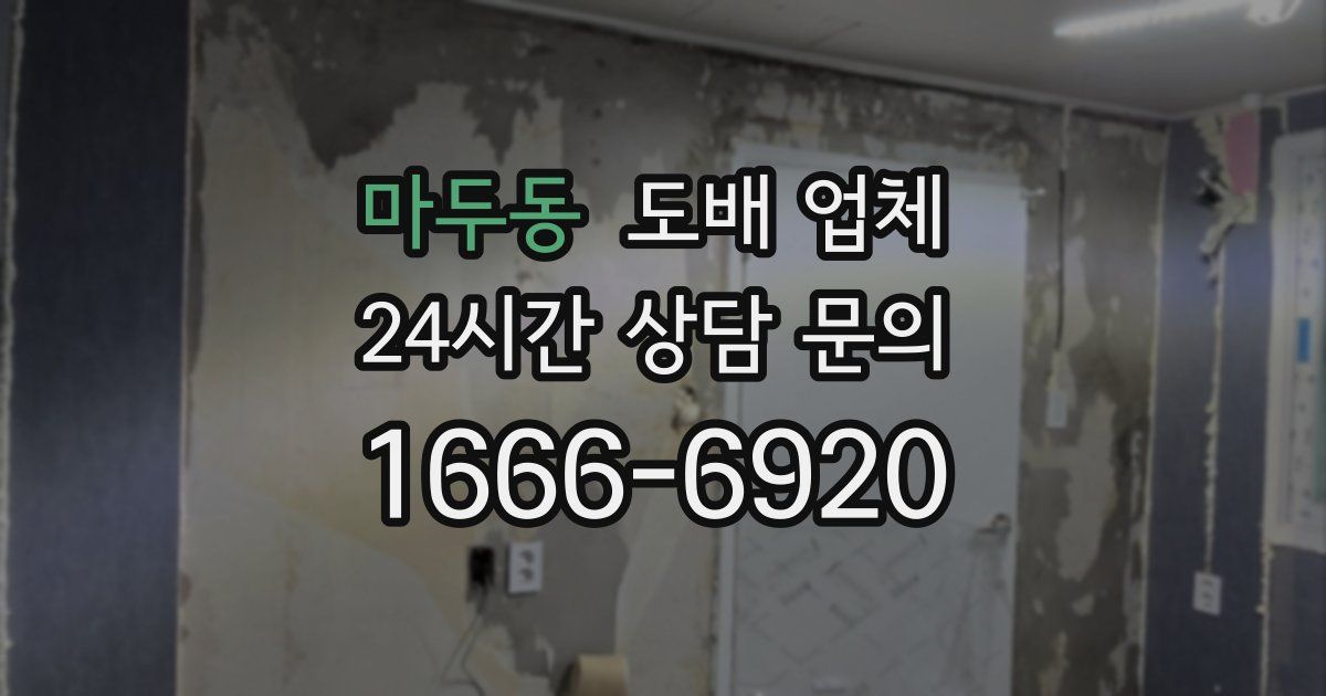 마두동 도배 업체