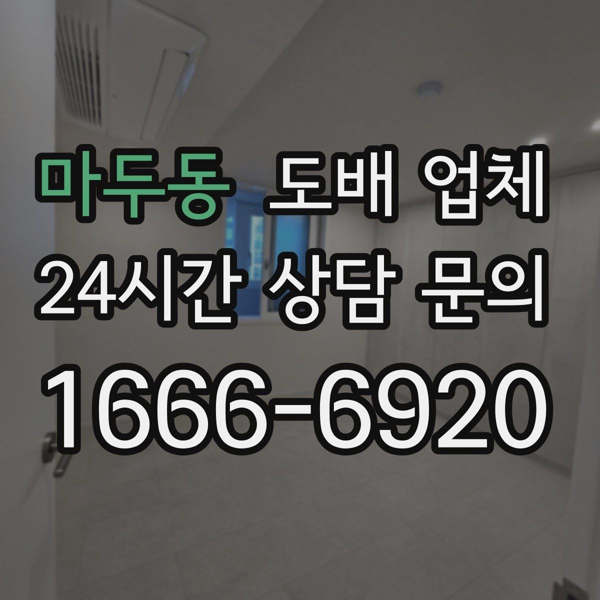 마두동 도배 업체