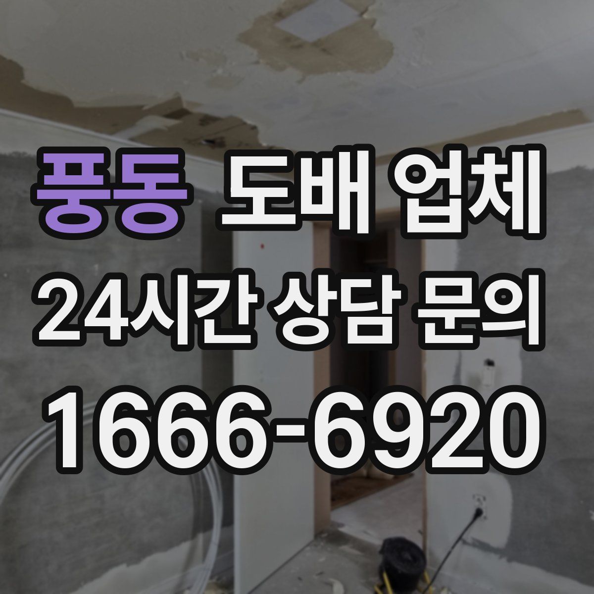 풍동 도배 업체