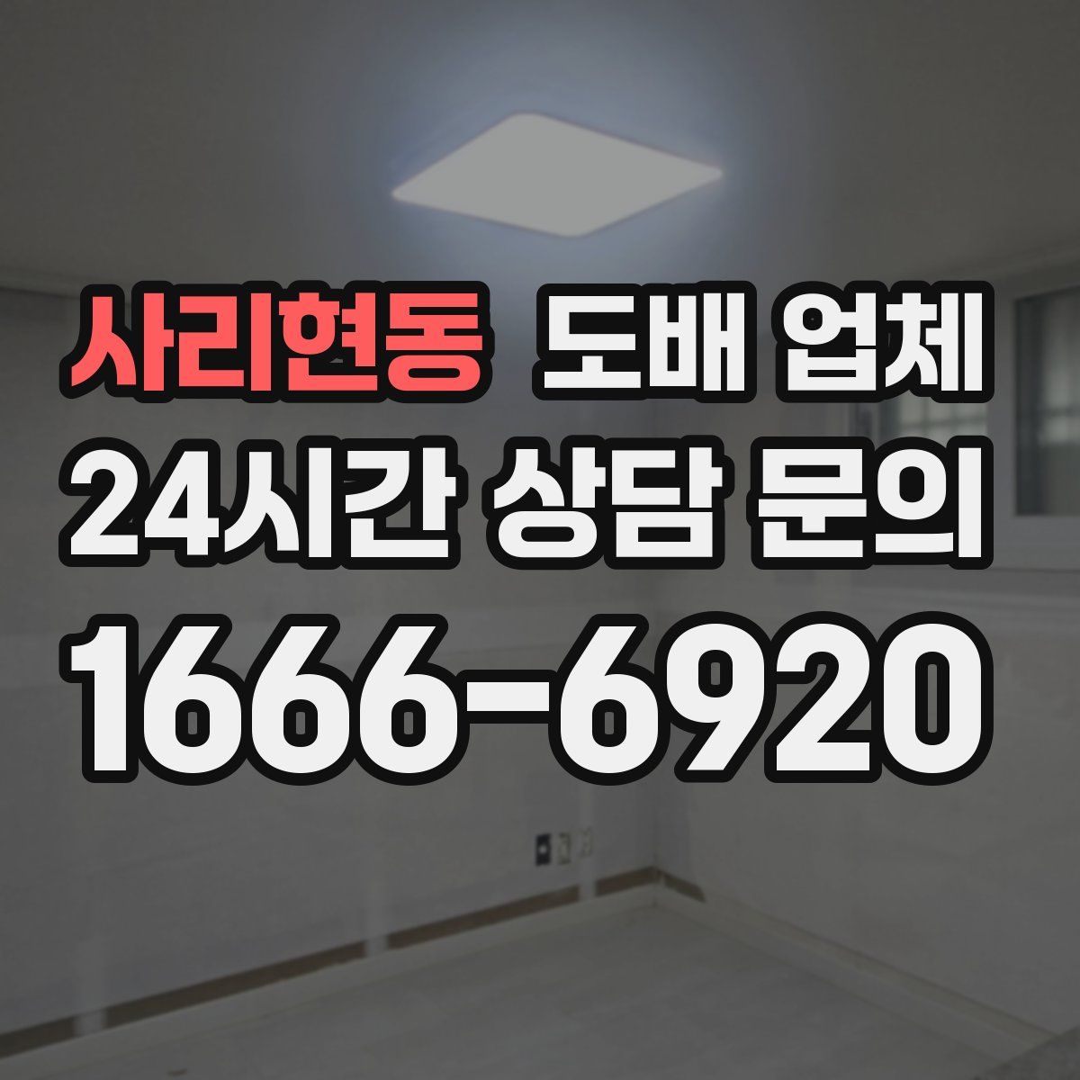 사리현동 도배 업체