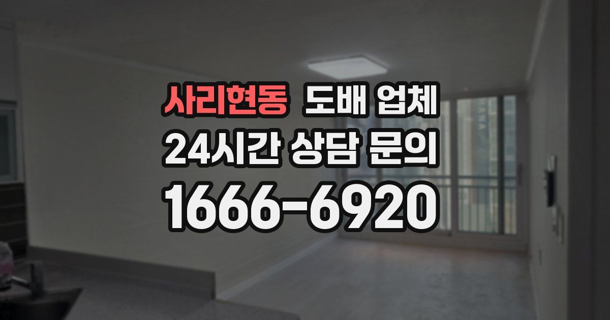 사리현동 도배 업체