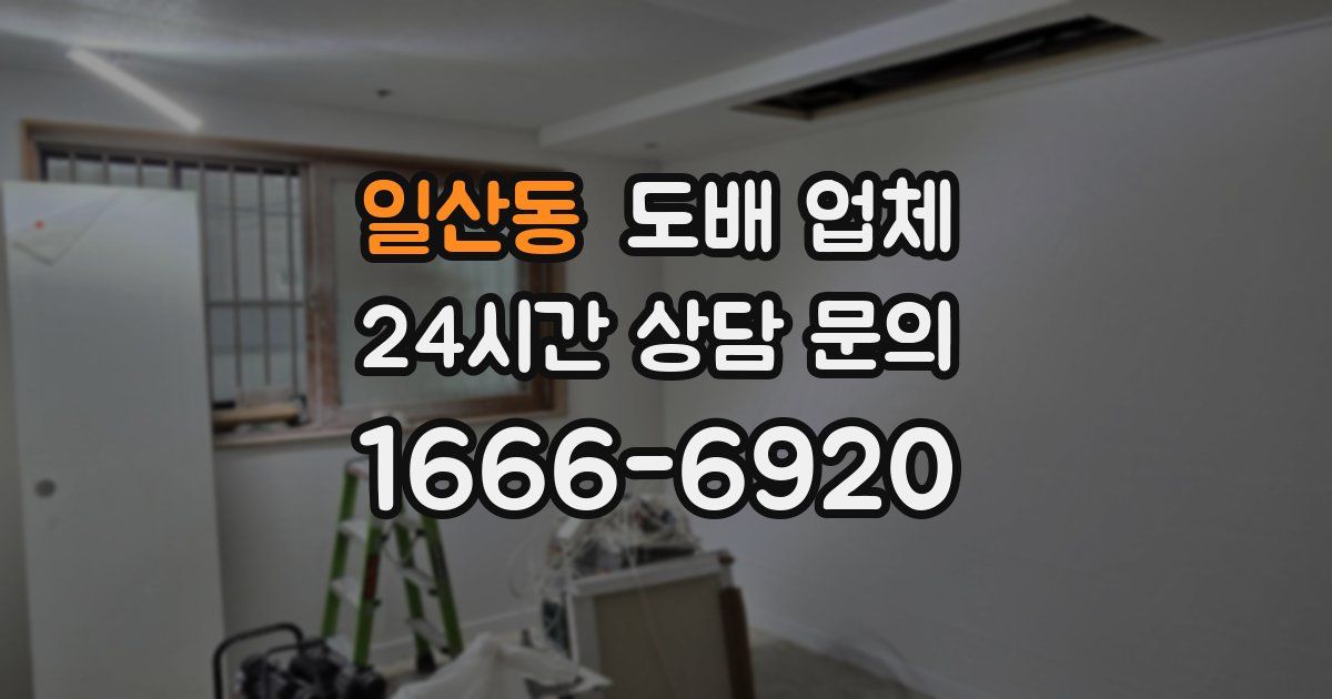 일산동 도배 업체