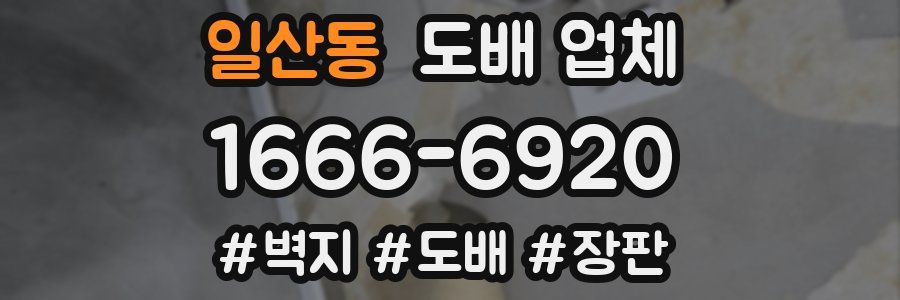 일산동 도배 업체