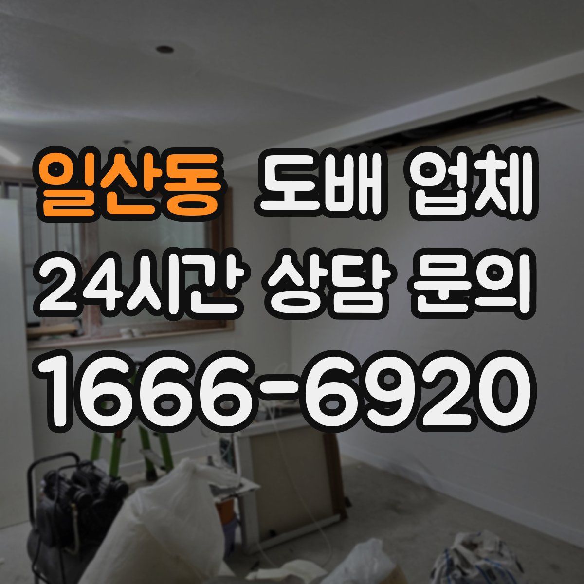 일산동 도배 업체