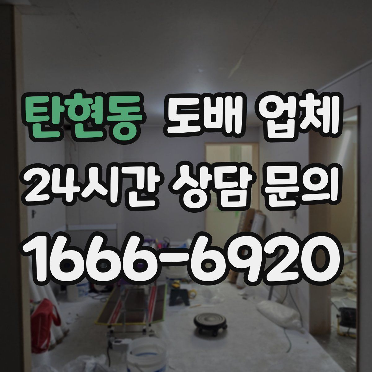 탄현동 도배 업체