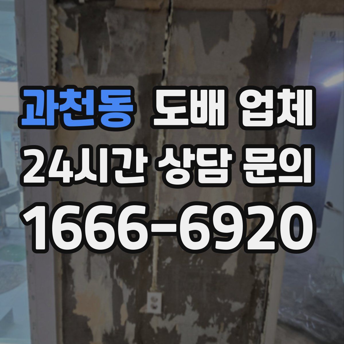 과천동 도배 업체