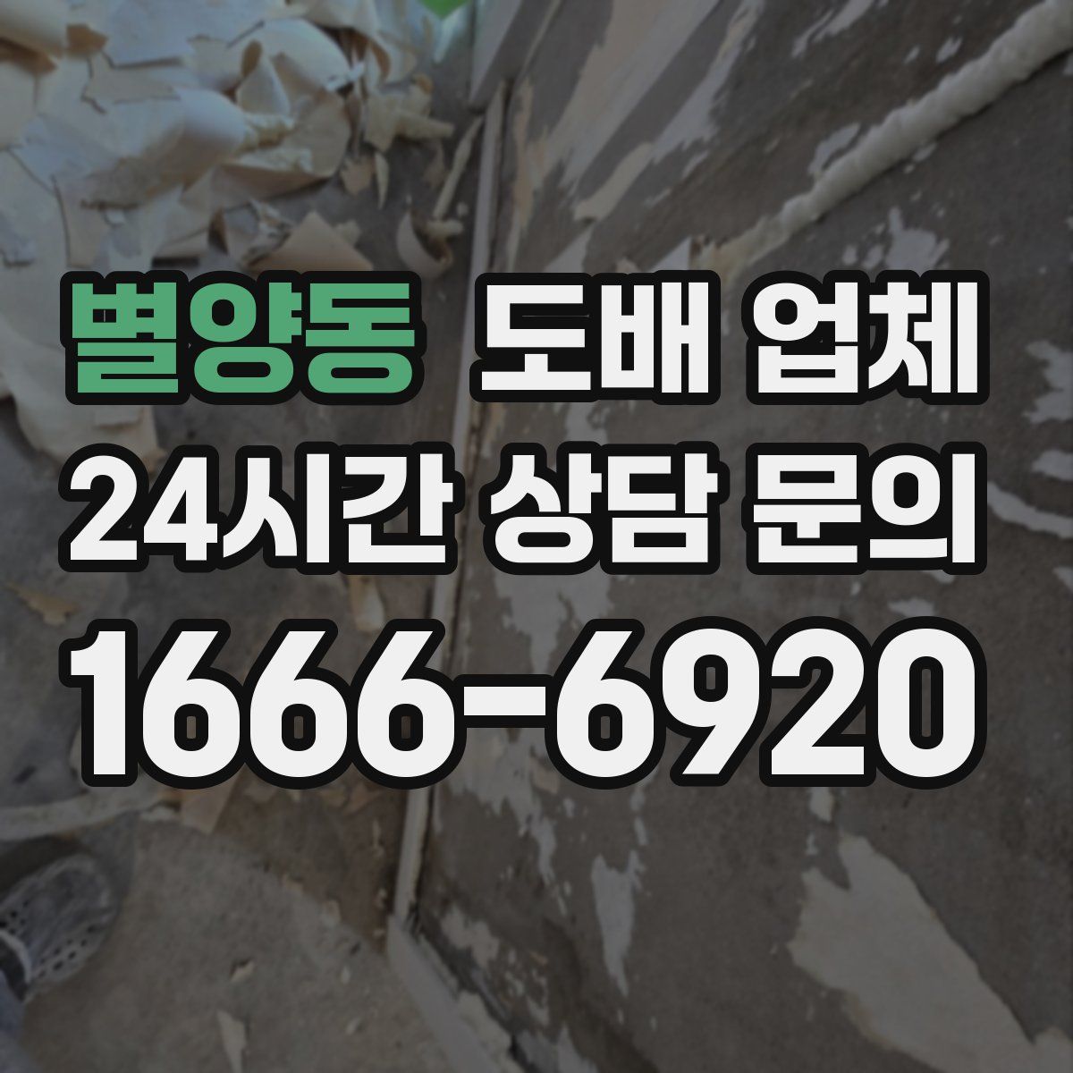 별양동 도배 업체