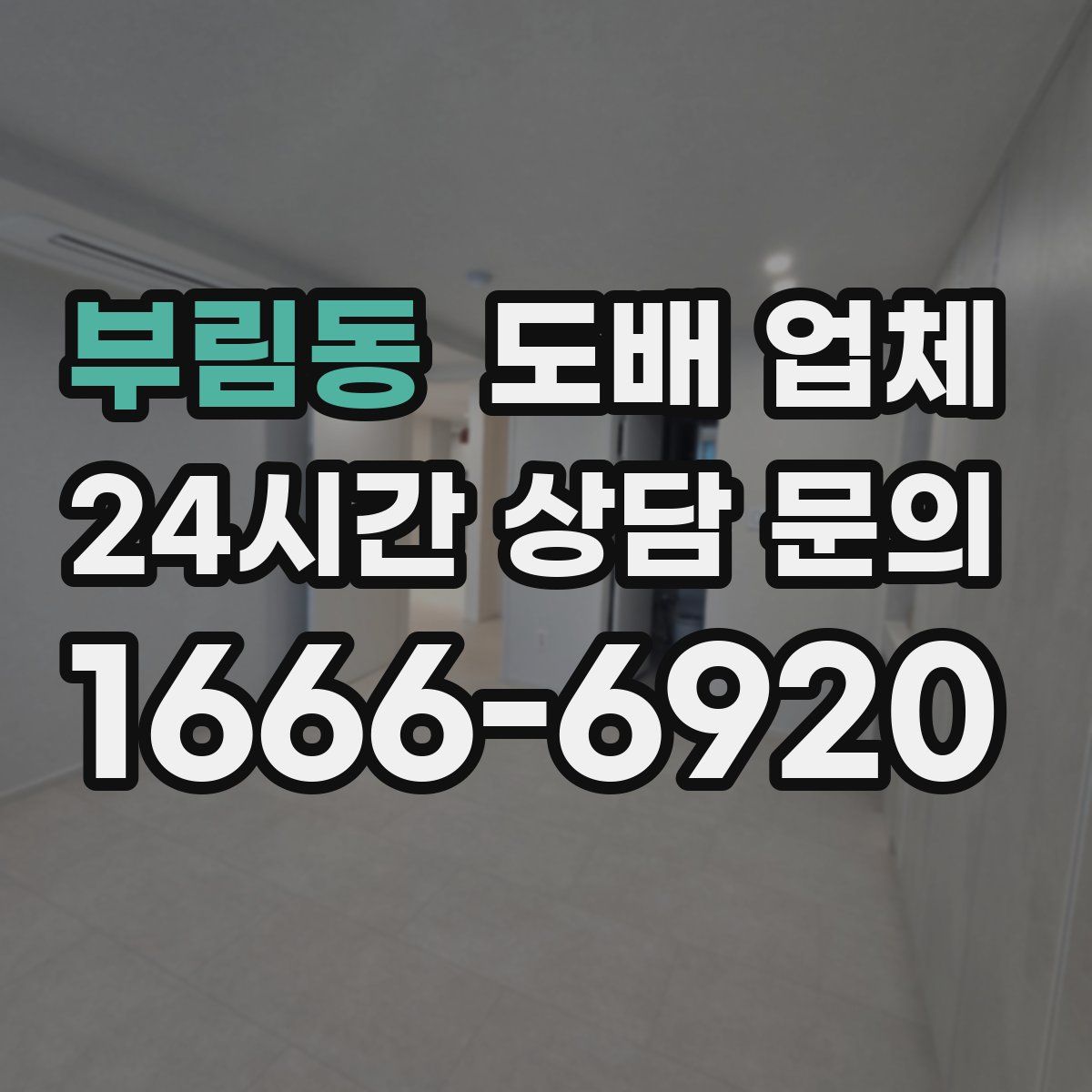 부림동 도배 업체