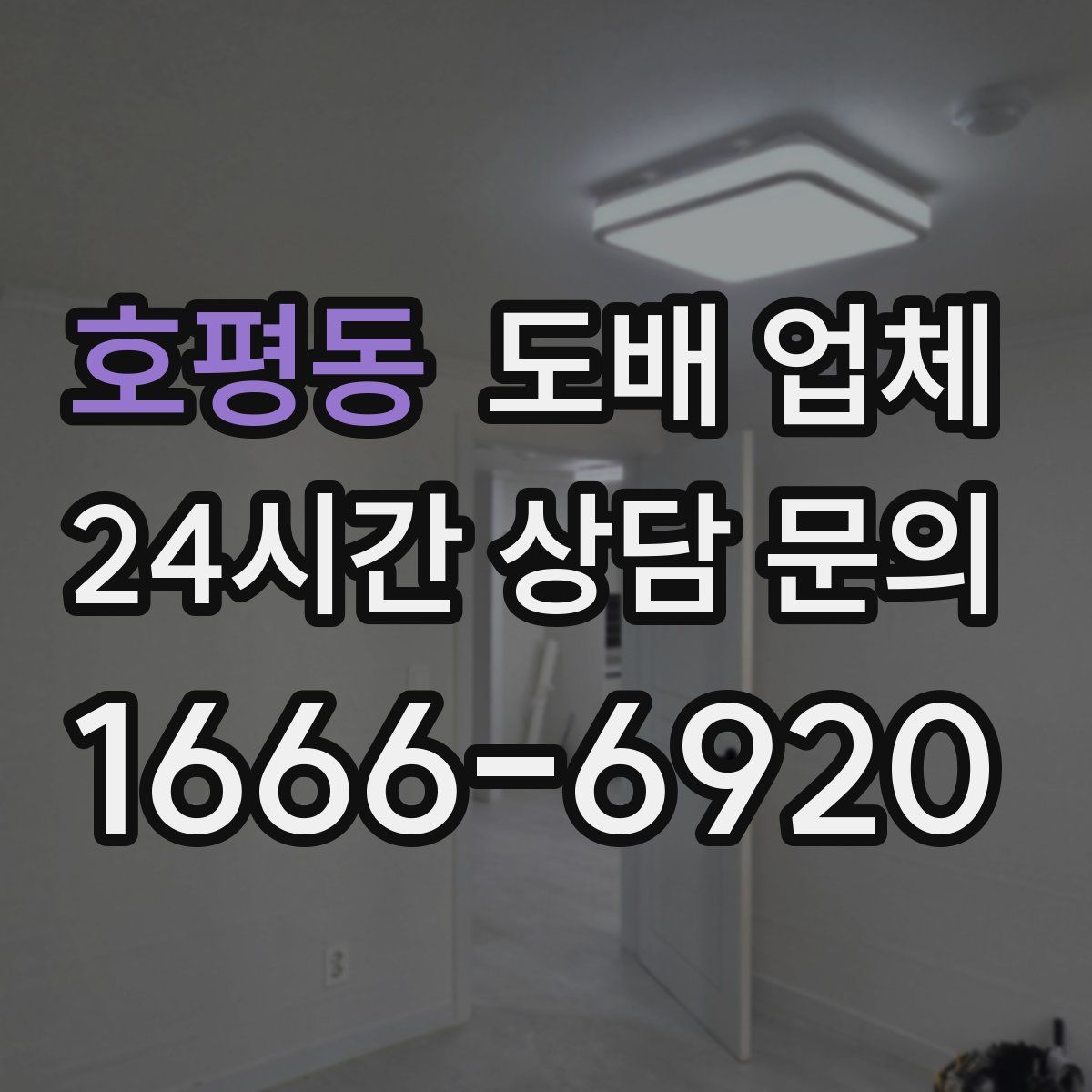 호평동 도배 업체