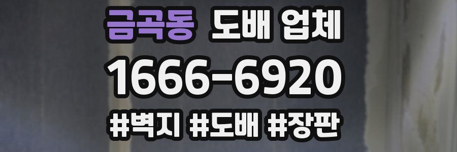 금곡동 도배 업체