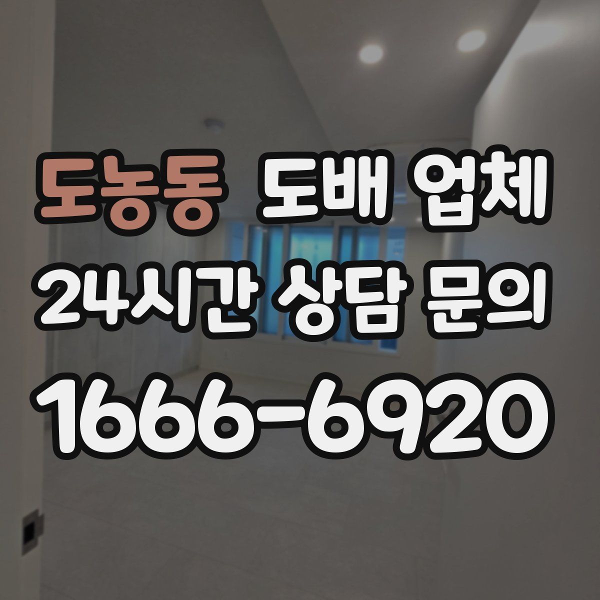 도농동 도배 업체