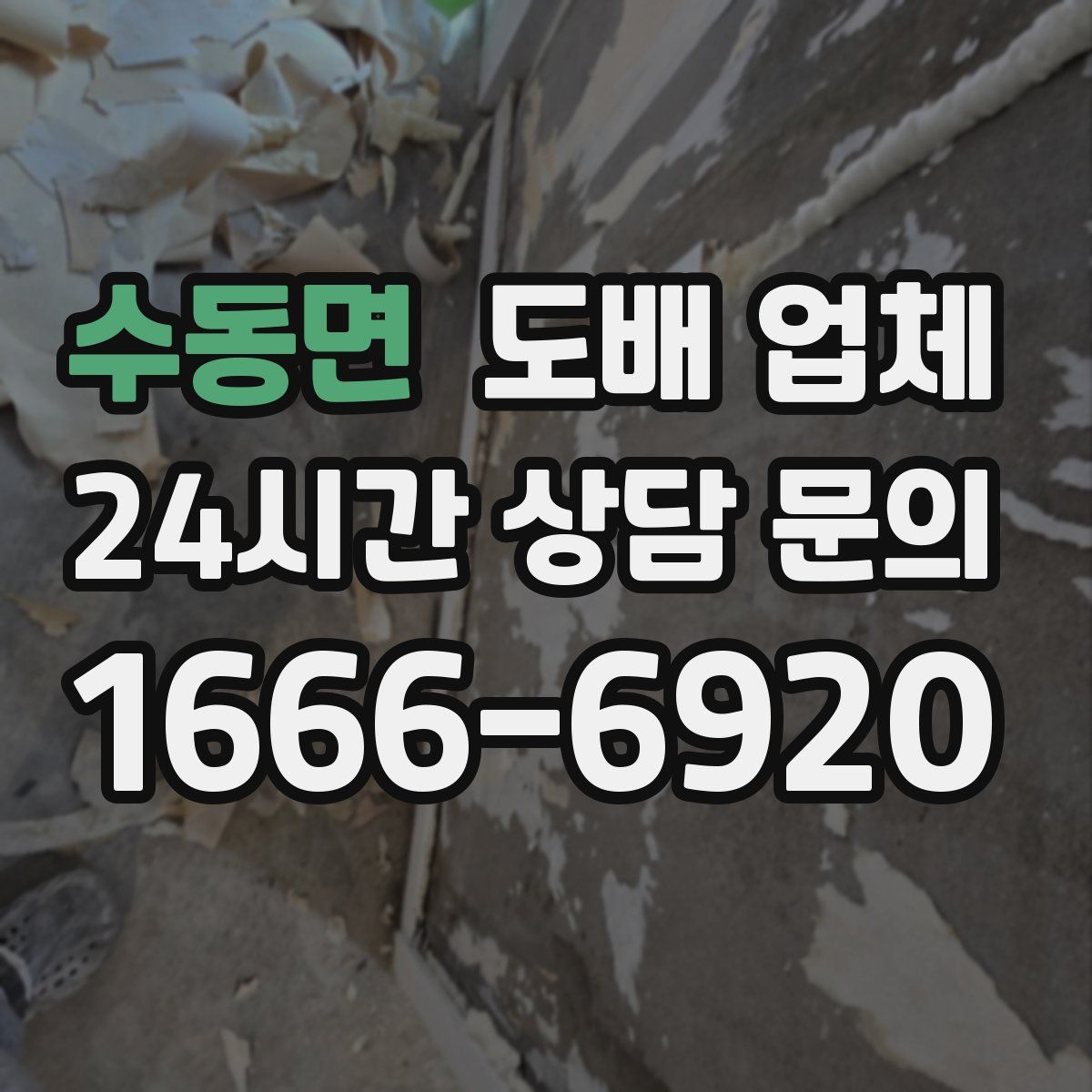 수동면 도배 업체