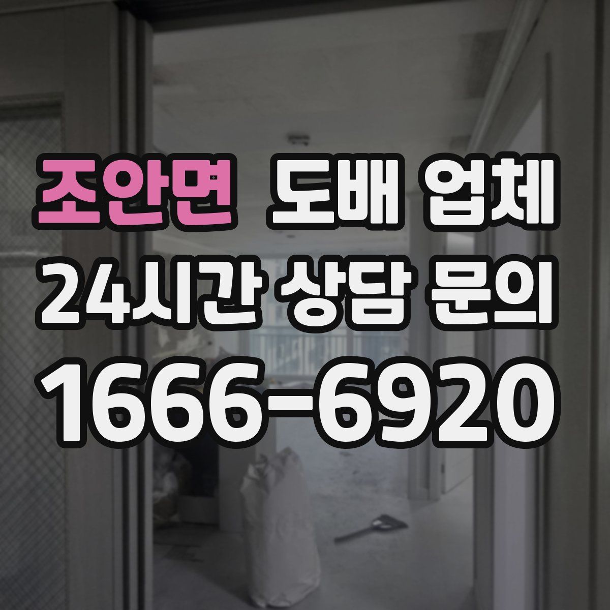 조안면 도배 업체