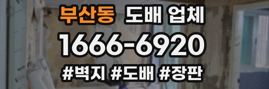 부산동 도배 업체