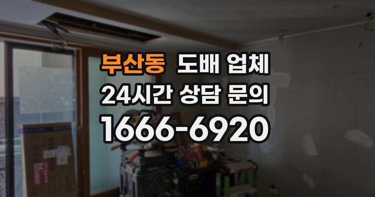 부산동 도배 업체