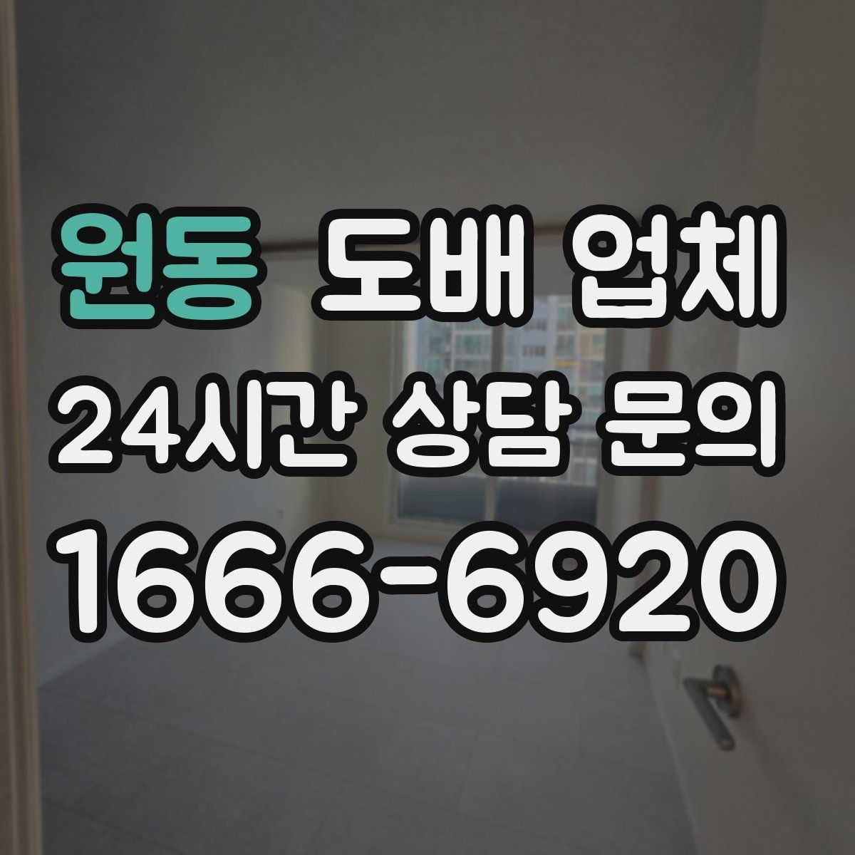 원동 도배 업체