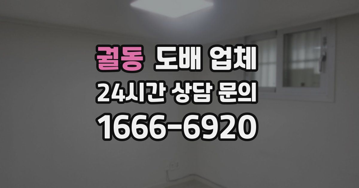 궐동 도배 업체