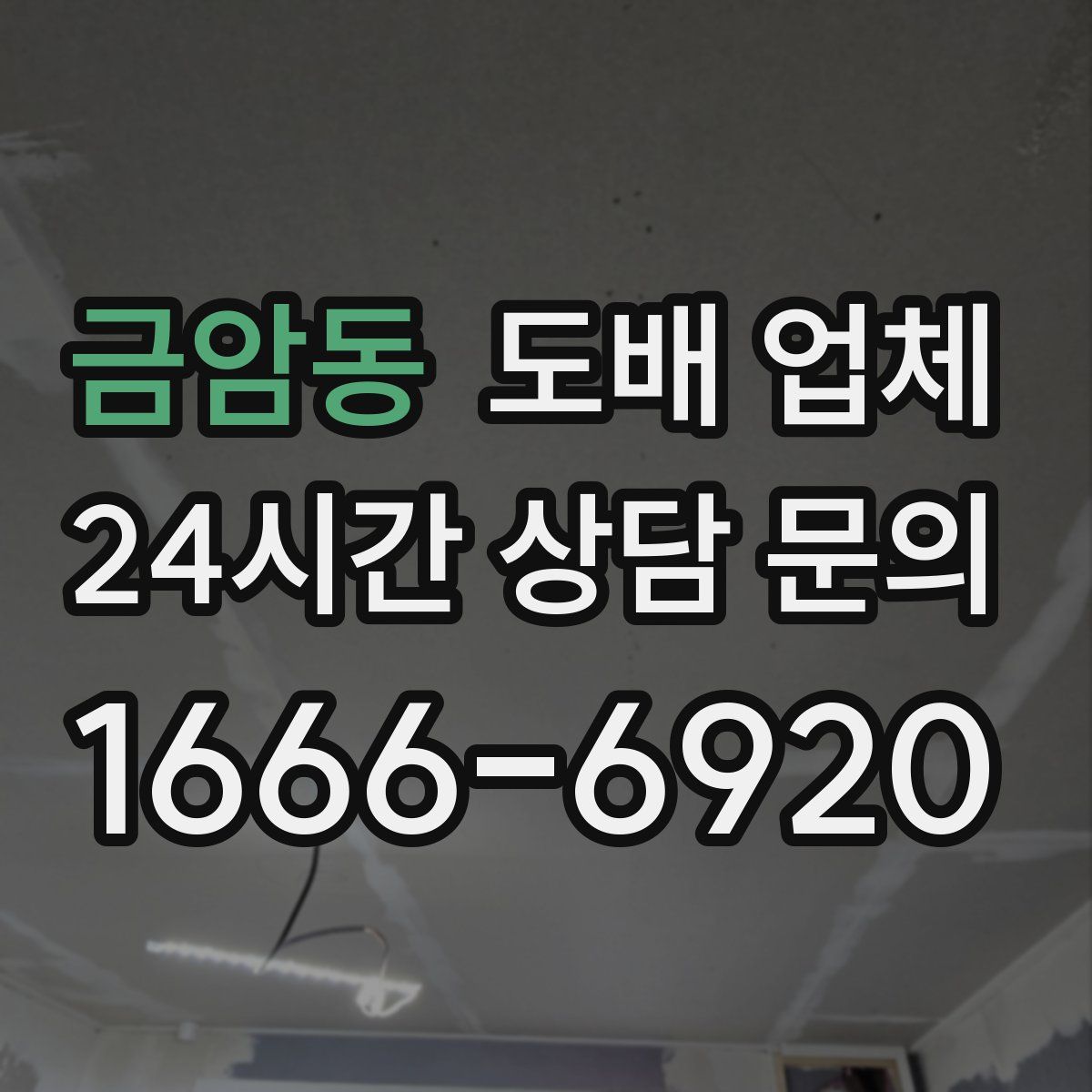 금암동 도배 업체