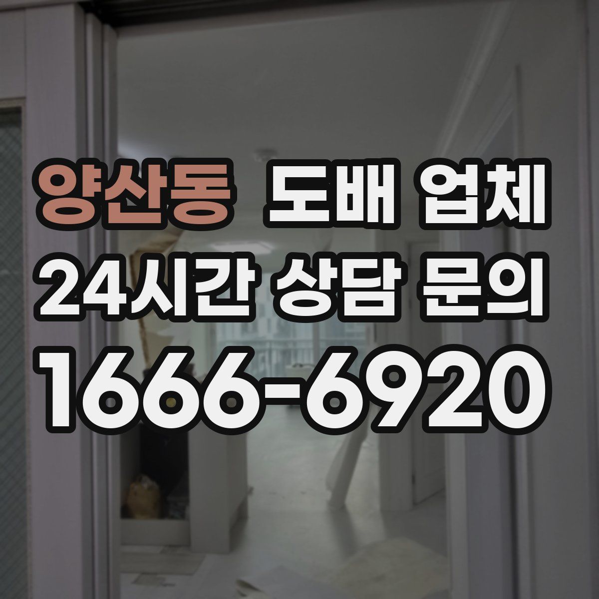 양산동 도배 업체
